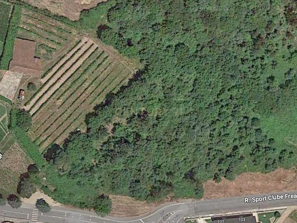 Terreno Urbano em Freamunde - Image 4