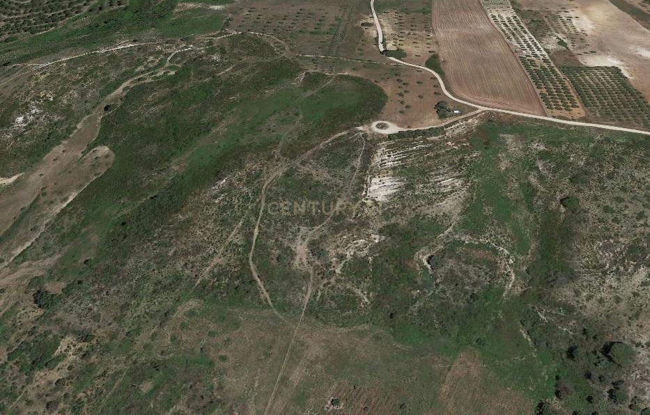 Terreno rústico de 19.720,00 m2 em Abitureiras para vinha e Olival - Image 7
