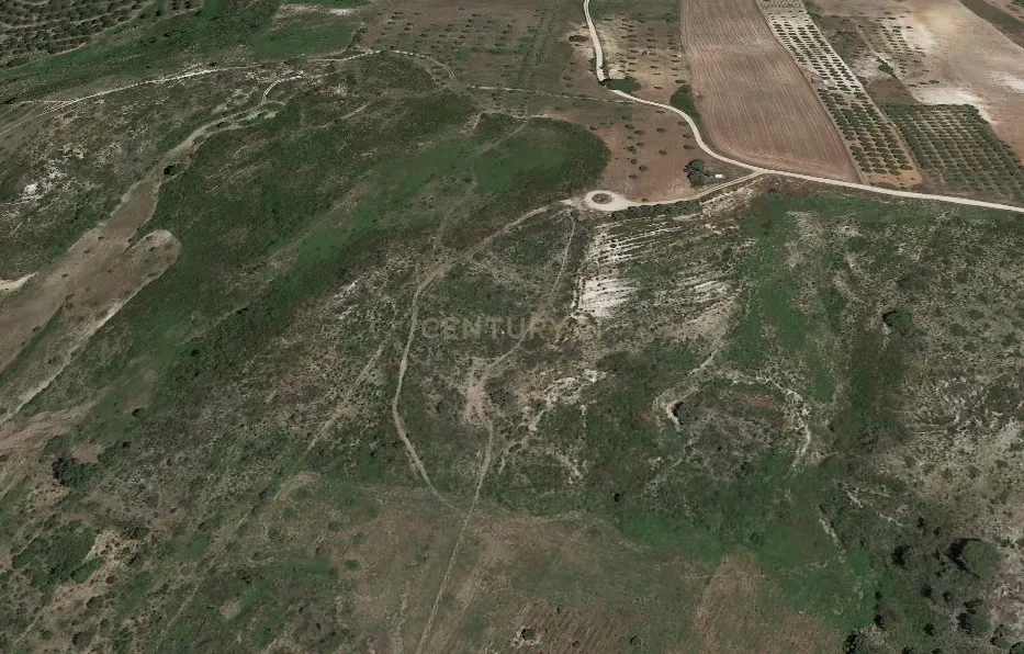Terreno rústico de 19.720,00 m2 em Abitureiras para vinha e Olival - Image 7