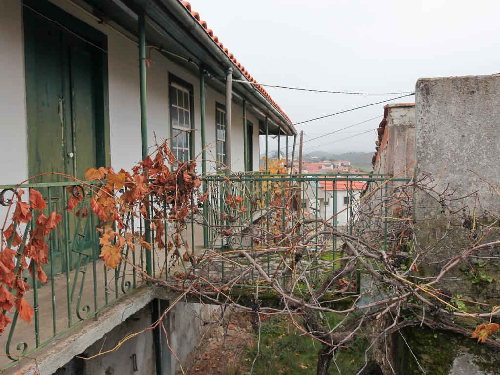 Moradia, Celeiro e Adega em Vilarelhos - Alfândega da Fé - Image 3