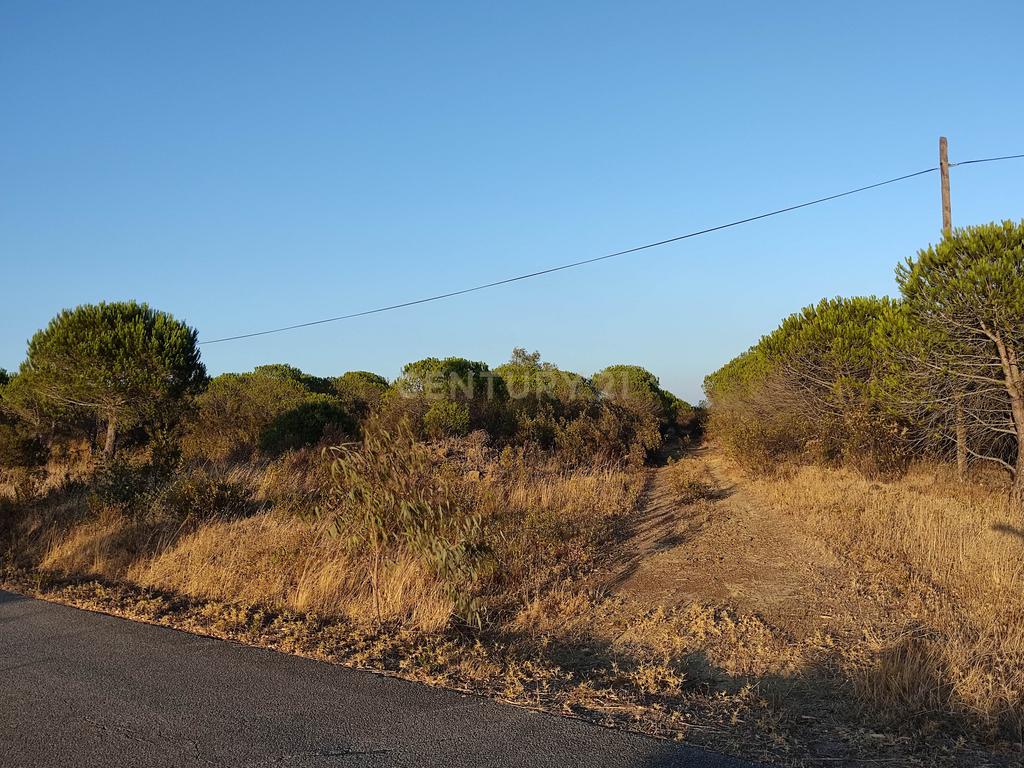 Terreno de 23 Hectares, junto à Barragem da Bravura. - Image 4