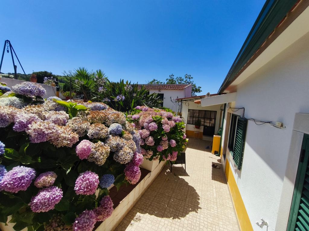 Moradia T3 com quintal e poço em Aldeia Gavinha uma mini quinta - Image 7