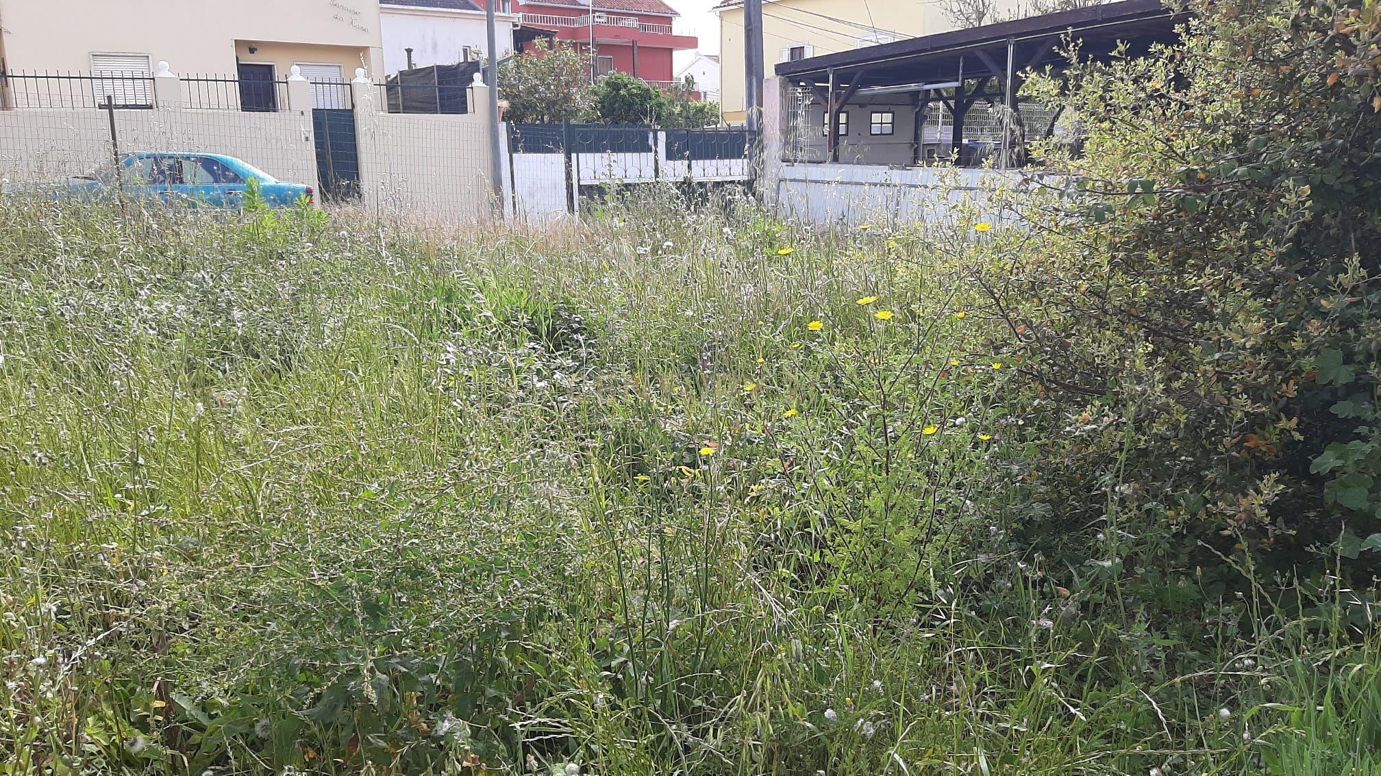 Terreno Urbano nas Quintinhas 600m2 duas frentes de estrada, ótima localização - Image 8