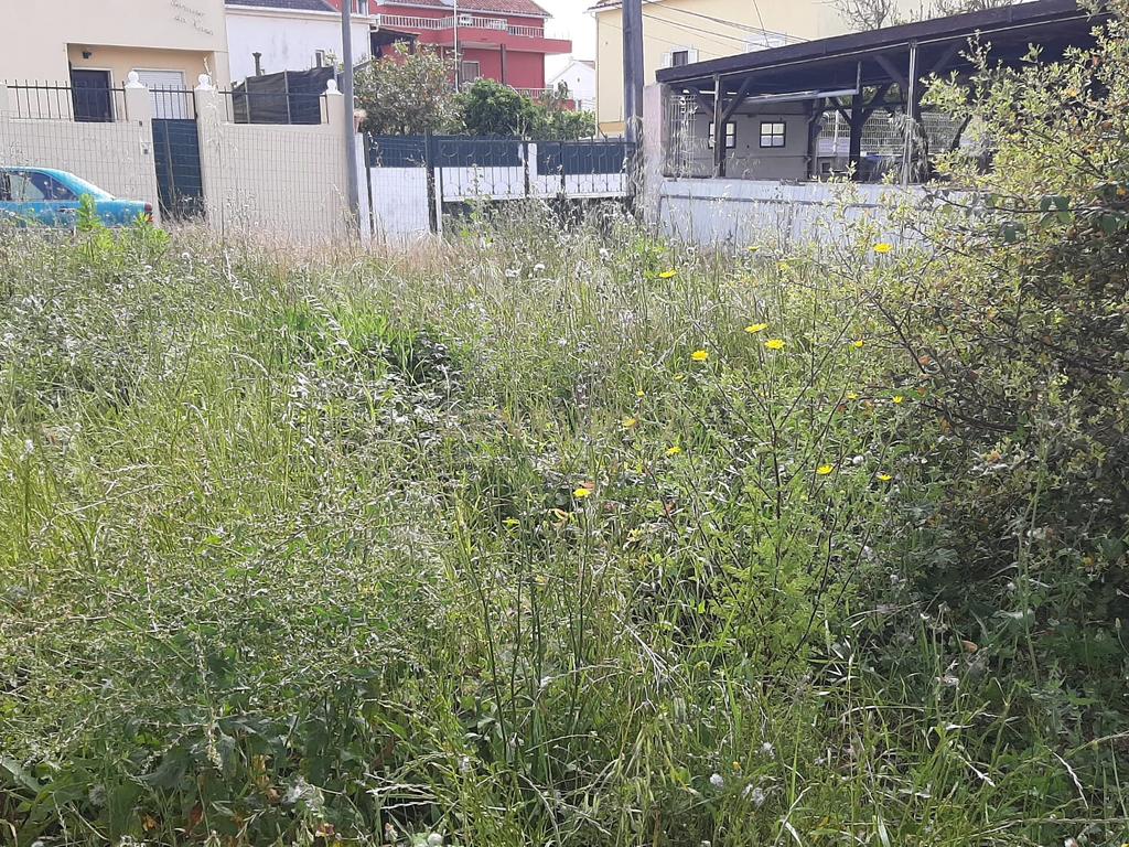 Terreno Urbano nas Quintinhas 600m2 duas frentes de estrada, ótima localização - Image 9