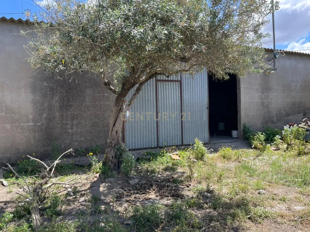 ✨ Terreno com 8.500 m² com 2 Moradia na encantadora Vila da Amareleja – Alentejo ✨ - Image 25