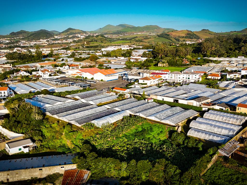 Propriedade Única com Estufas de Ananases e Potencial Urbano — Abelheira de Baixo, São Roque - Açores - Image 18