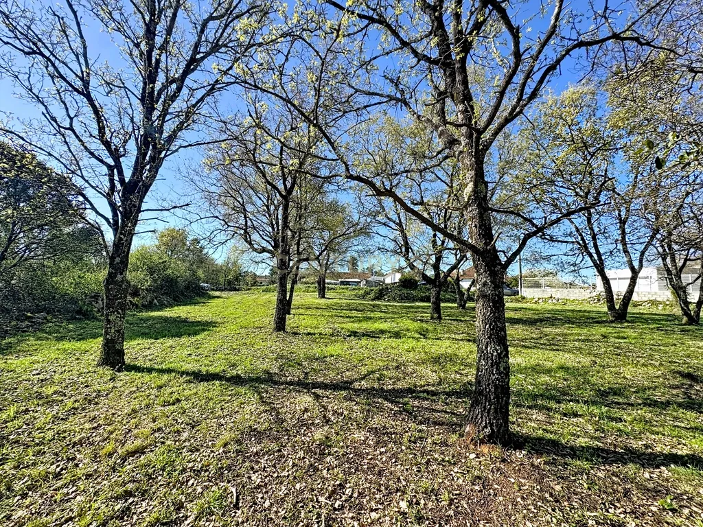 O lugar ideal para construir em plena natureza – Alcobaça - Image 23
