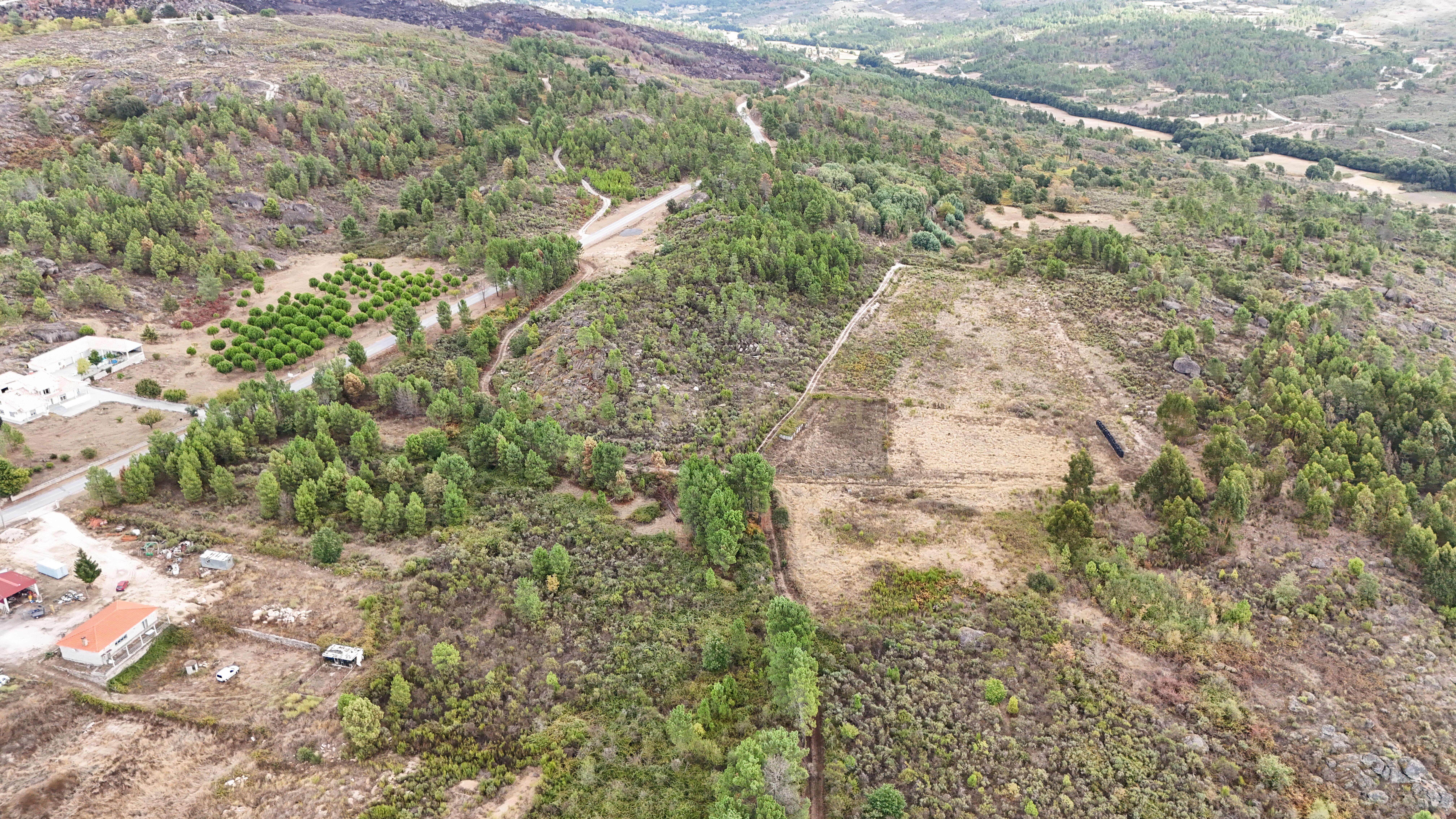 Fotografia 7 de Terreno com cerca de 18.000 m² em Figueiró da Granja - Fornos de Algodres