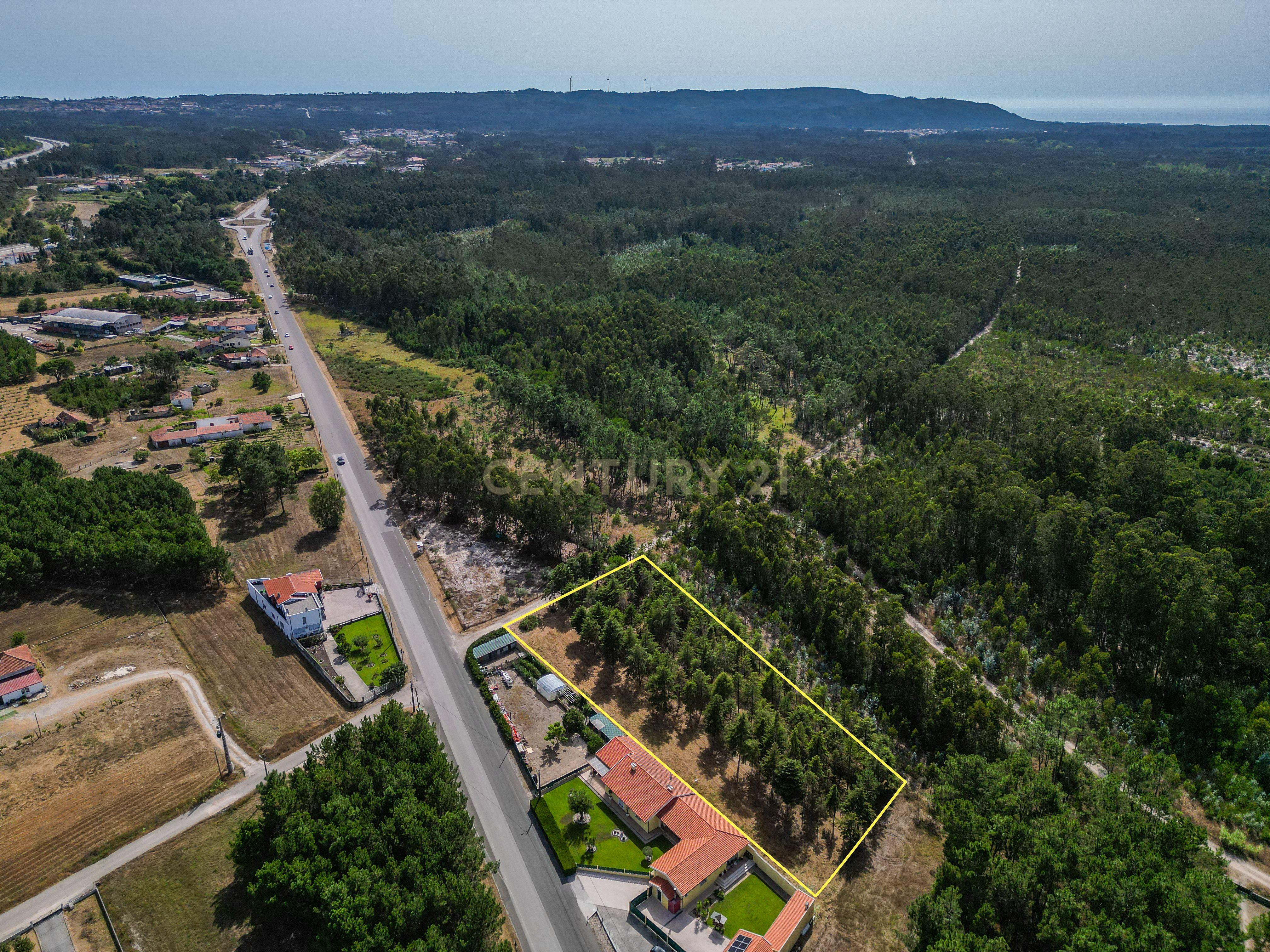 Fotografia 6 de Terreno com cerca de 3.300 m² em zona de pinhal, em Casal Novo, Quiaios – Figueira da Foz
