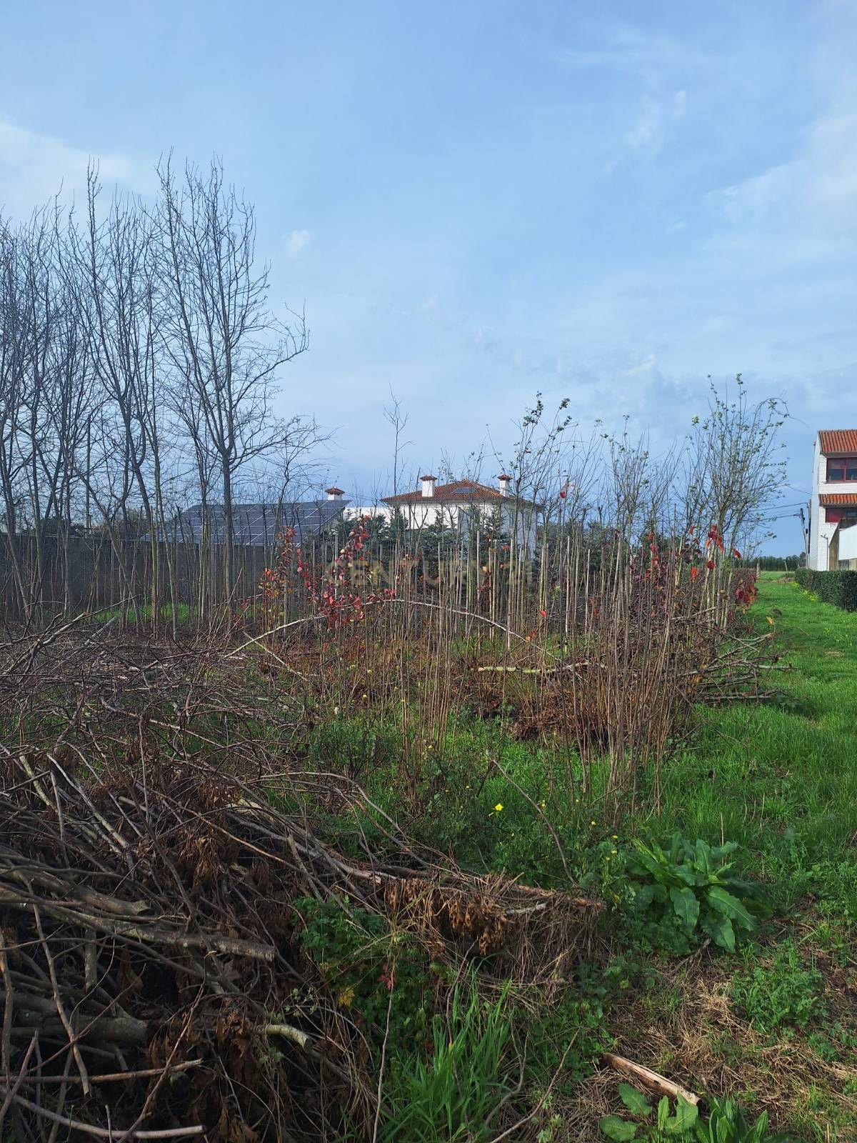 Terreno Urbano, Agueda - Image 4