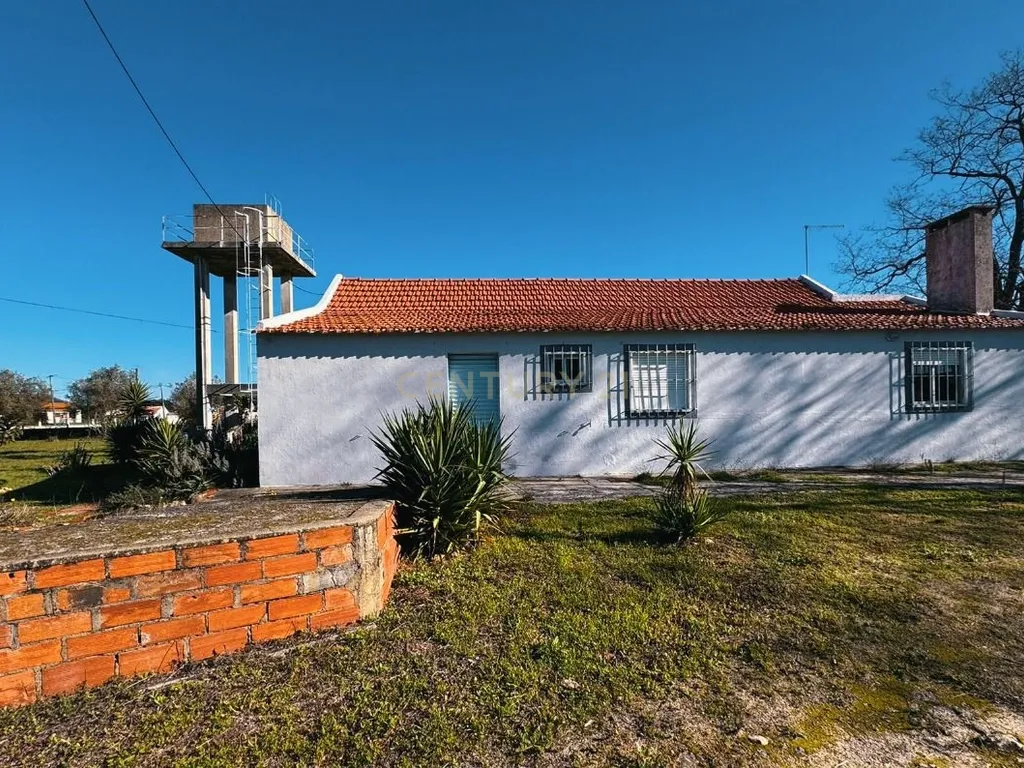 Quinta com possibilidade de investimento - Image 3