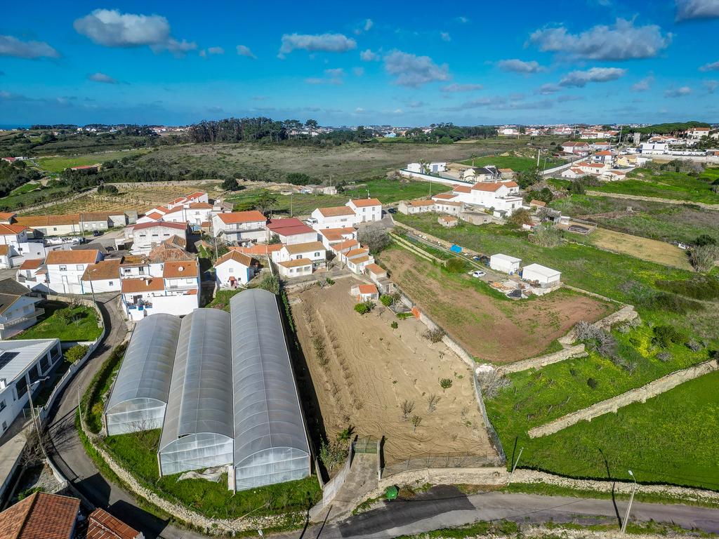 Moradia Isolada T3 com 2480m2 de terreno, poço e com anexos - Image 52