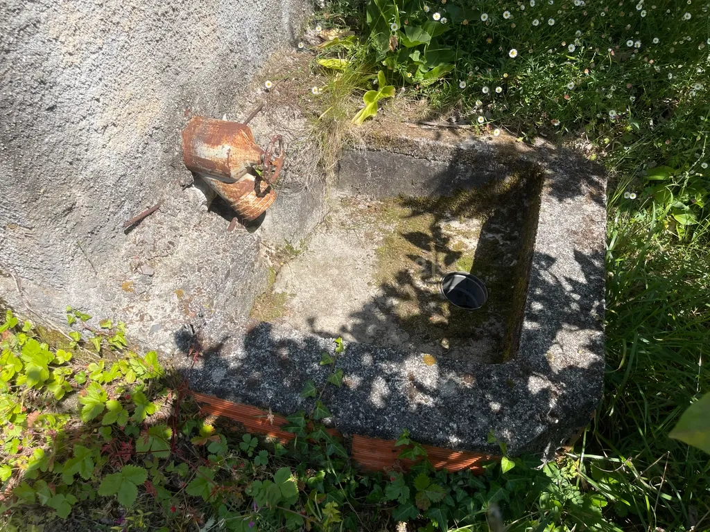 Terreno de 7.500 m² situado próximo ao lago, contendo uma casa a ser restaurada e um aviário automatizado altamente rentável. - Image 53
