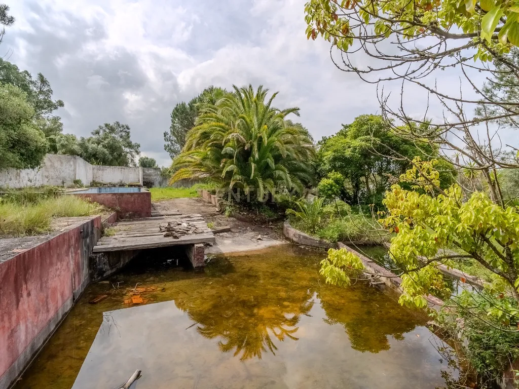 Quinta do Penedo – Runa Torres Vedras - Um Tesouro do Século XVIII com Projeto Turístico Aprovado - Image 38