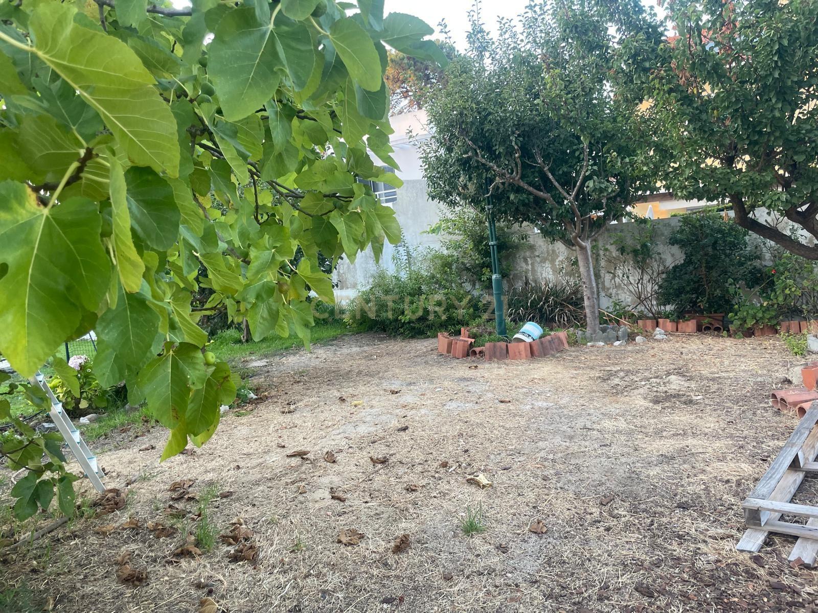 Fotografia 9 de Terreno para Venda | Rua Soeiro Pereira Gomes | Marisol