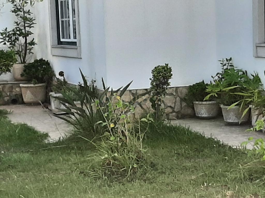 Moradia  T3 na  Lourinhã com Piscina  Garagem e Churrasqueira - Image 23