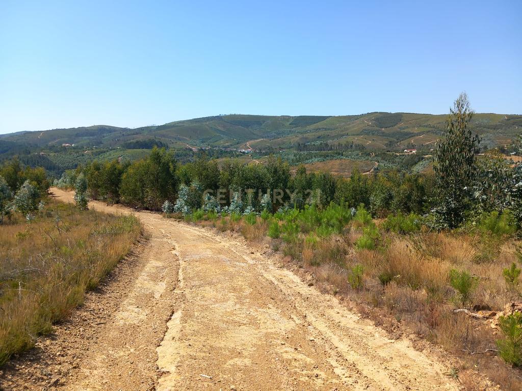 Terreno Rustico, Roqueiro - Image 7