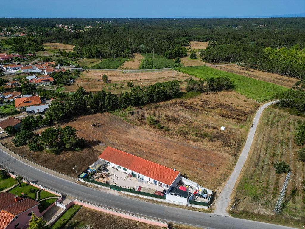 Terreno com viabilidade de construção em Queridas, Ferreira-a-Nova, Figueira da Foz - Image 3