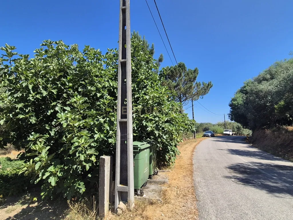 Terreno para Construção em Pombal, Leiria - Oportunidade Única! - Image 21