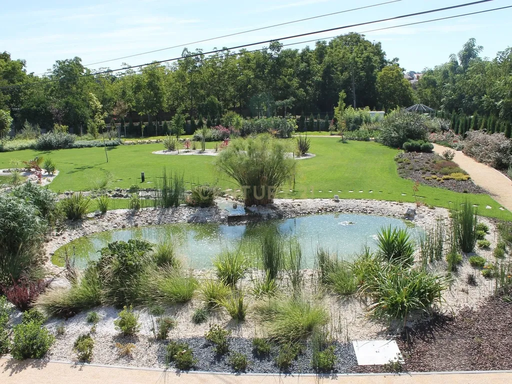 Propriedade T8 com Jardins, Lago e Potencial Alojamento - Localização Premium - Image 12