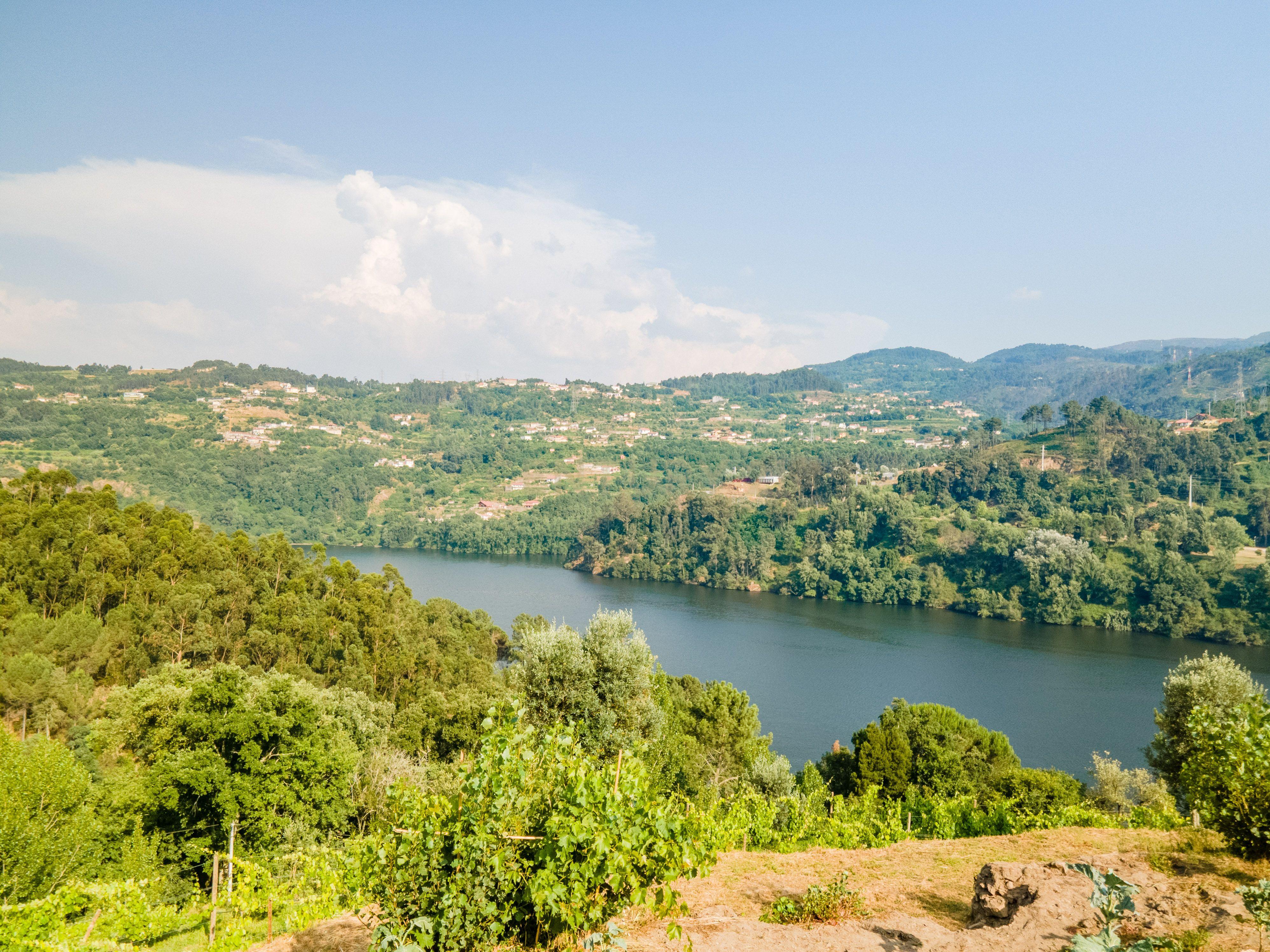 Quinta com Vista Deslumbrante sobre o Rio Douro – Projeto Aprovado para Hotel Rural | Paços de Gaiolo - Image 14