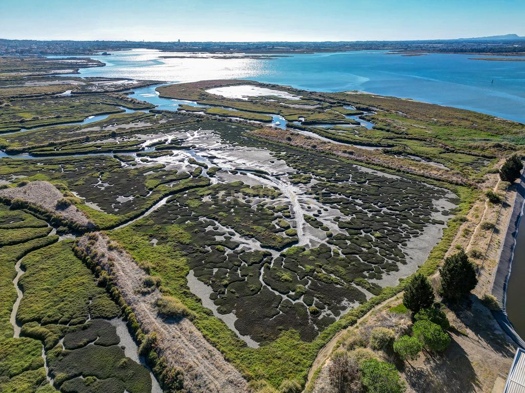 Terreno 20,18ha, Montijo - Seixalinho, para actividades de piscicultura e agricultura - Image 14