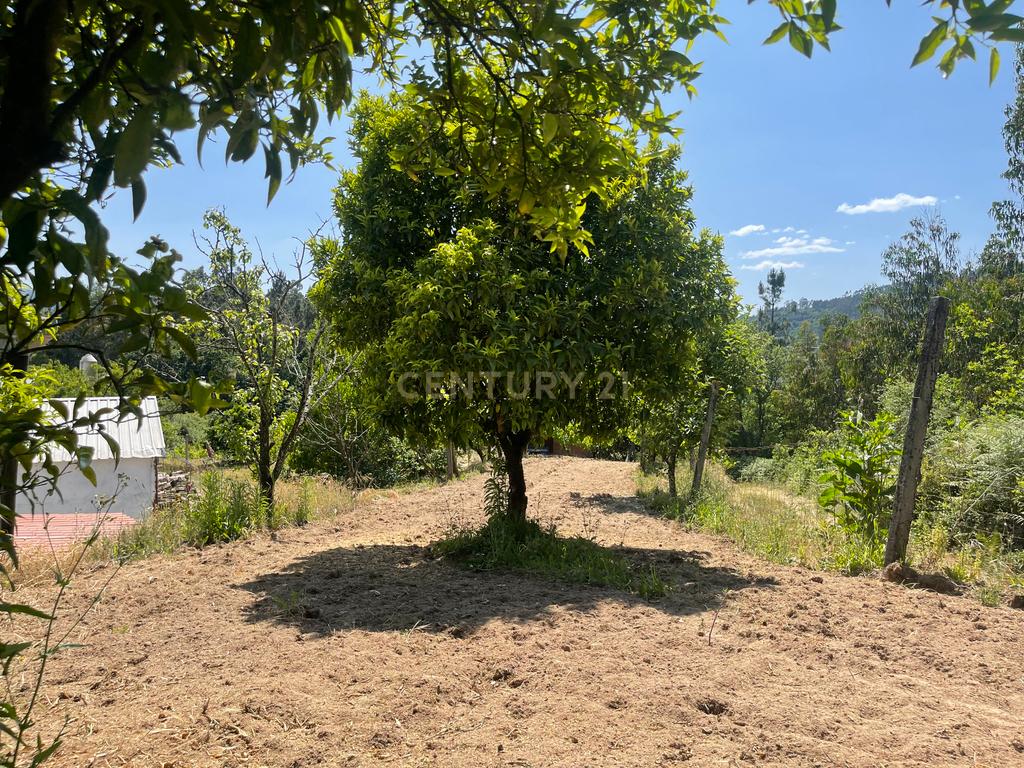 Terreno de 7.500 m² situado próximo ao lago, contendo uma casa a ser restaurada e um aviário automatizado altamente rentável. - Image 48