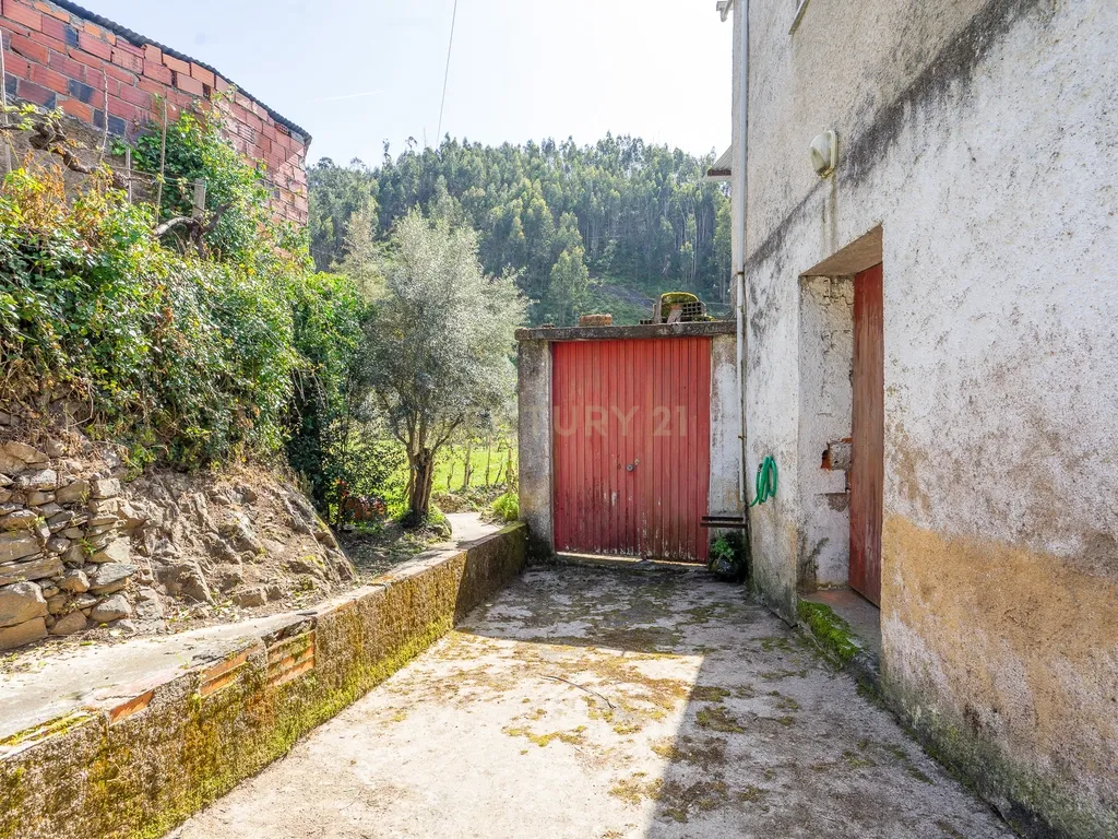 Moradias para Reconstruir em Ribas, Vila Nova de Poiares - Image 17