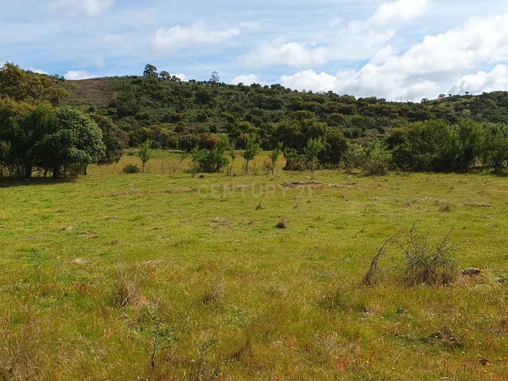 Terreno Urbano na Serra D`Ossa Redondo - Image 14
