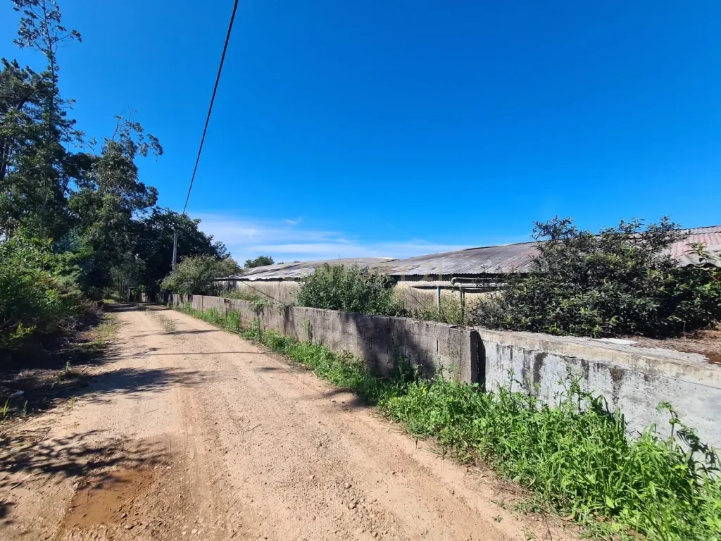 Terreno com Pavilhão Industrial em Barqueiros - Image 1