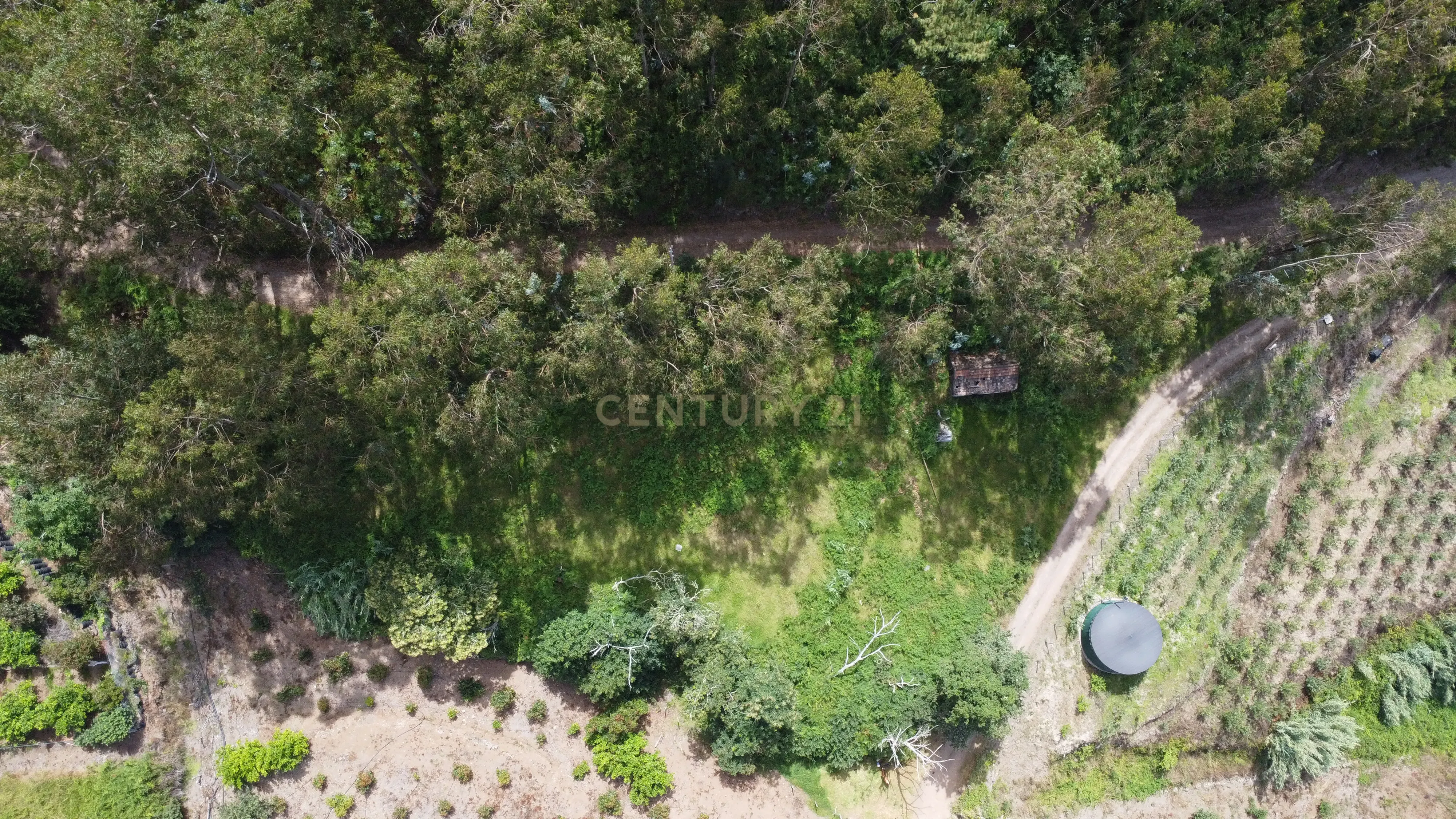 Fotografia 4 de Oportunidade Exclusiva na Madeira – Terreno com 3.796 m² nos Canhas, Ponta do Sol