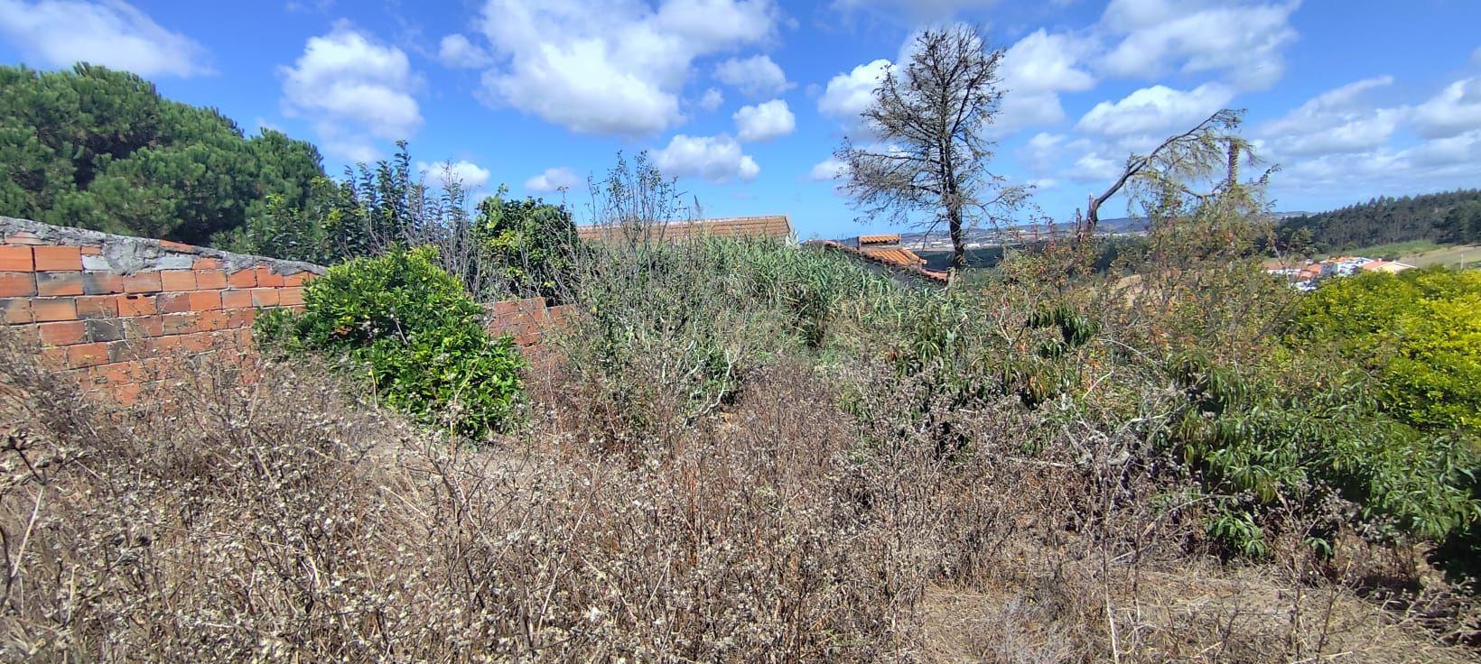 Fotografia 11 de TERRENO PARA CONSTRUÇÃO COM 1.000 M² | CABEÇA GORDA | ENTRE TORRES VEDRAS E A LOURINHÃ