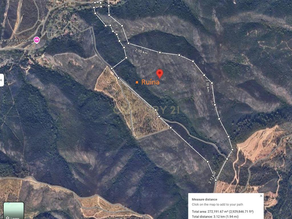 Terreno Rústico com Ruína em Aljezur – 26,88ha de Natureza Pura com Ribeira - Image 2