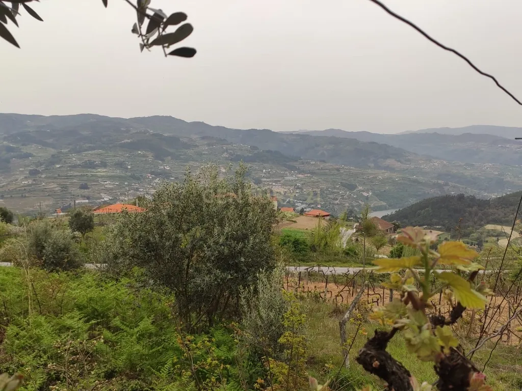 Terreno com casinha e vista para o rio Douro, em S. Tomé de Covelas, Baião para projeto agrícola - Image 35