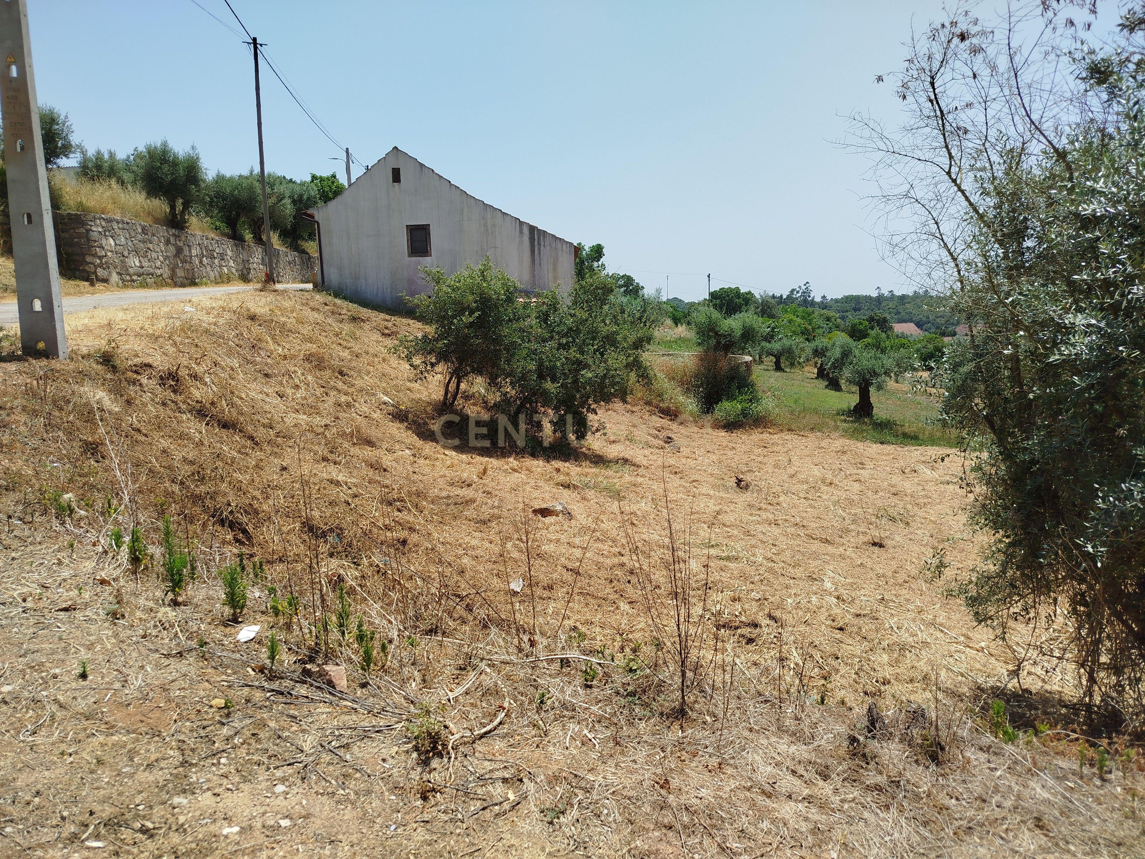 Fotografia 5 de Terreno para Construção em Areias e Pias, Ferreira do Zêzere