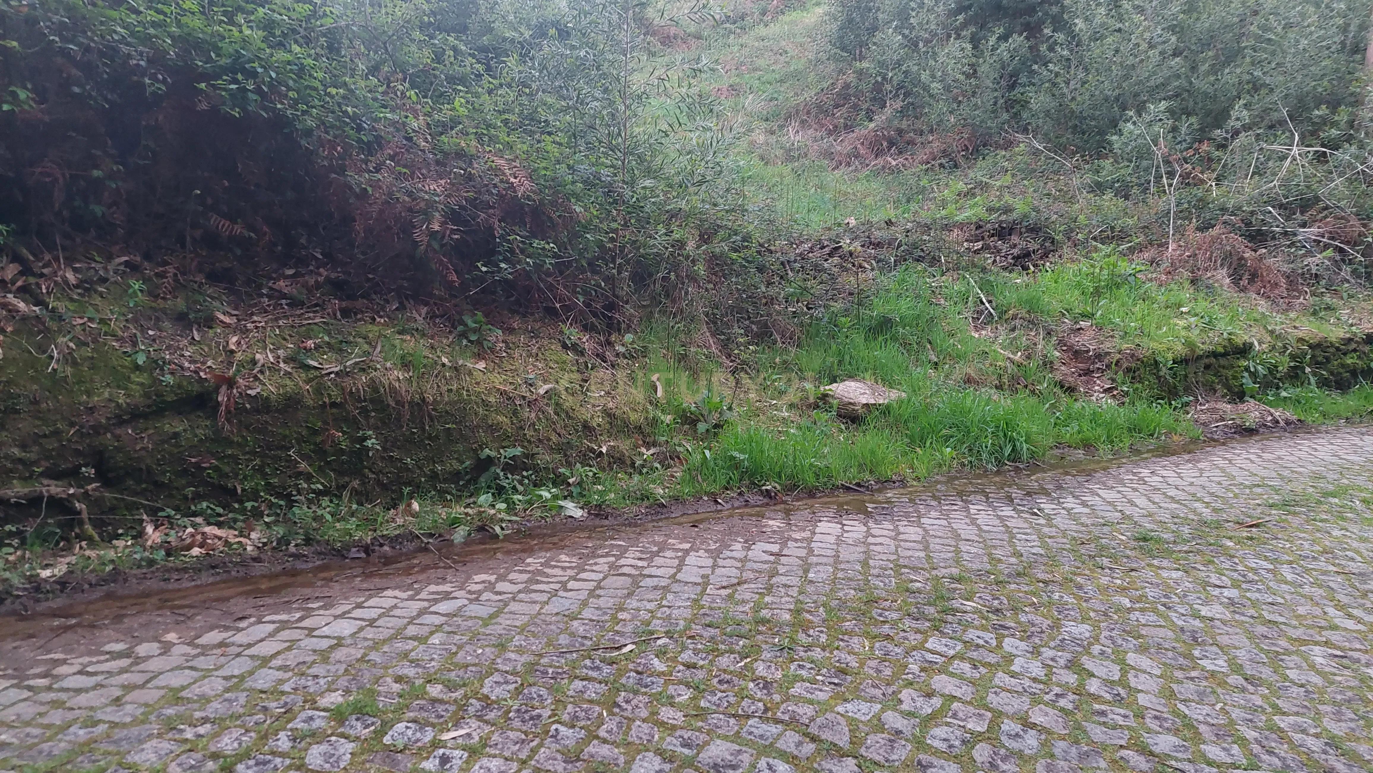 Terreno Rustico em Crestuma, Vila Nova de Gaia - Image 8