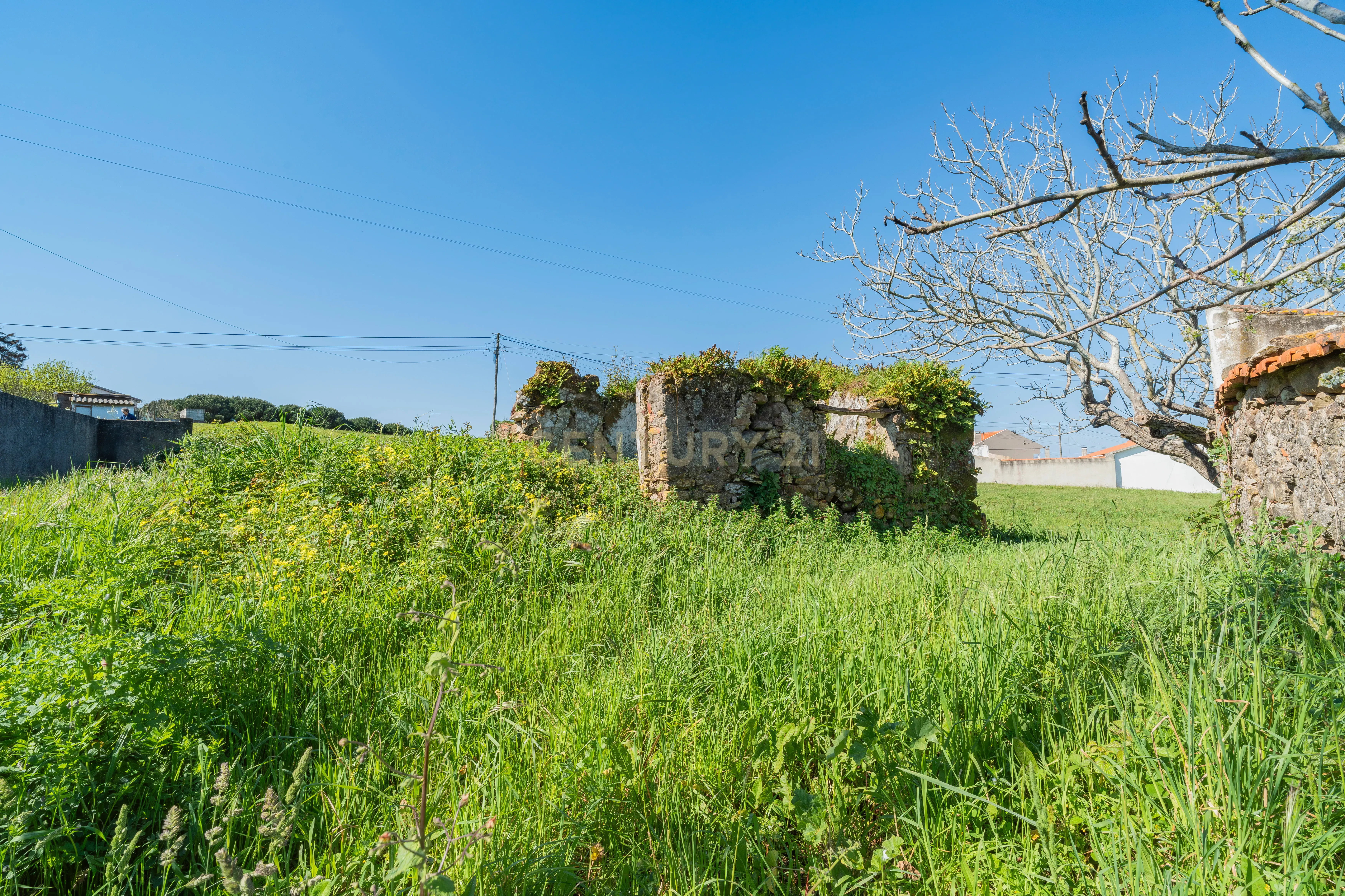 Fotografia 4 de Ruína com Terreno para construção em Vestiaria - Alcobaça