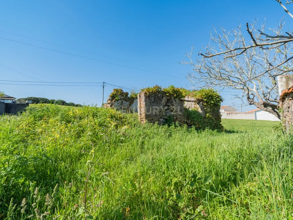 Ruína com Terreno para construção em Vestiaria - Alcobaça - Image 4