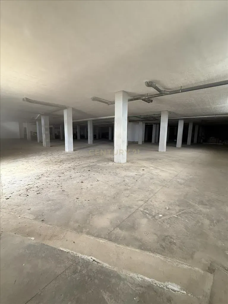 - Image 5