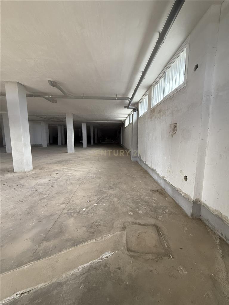 - Image 6
