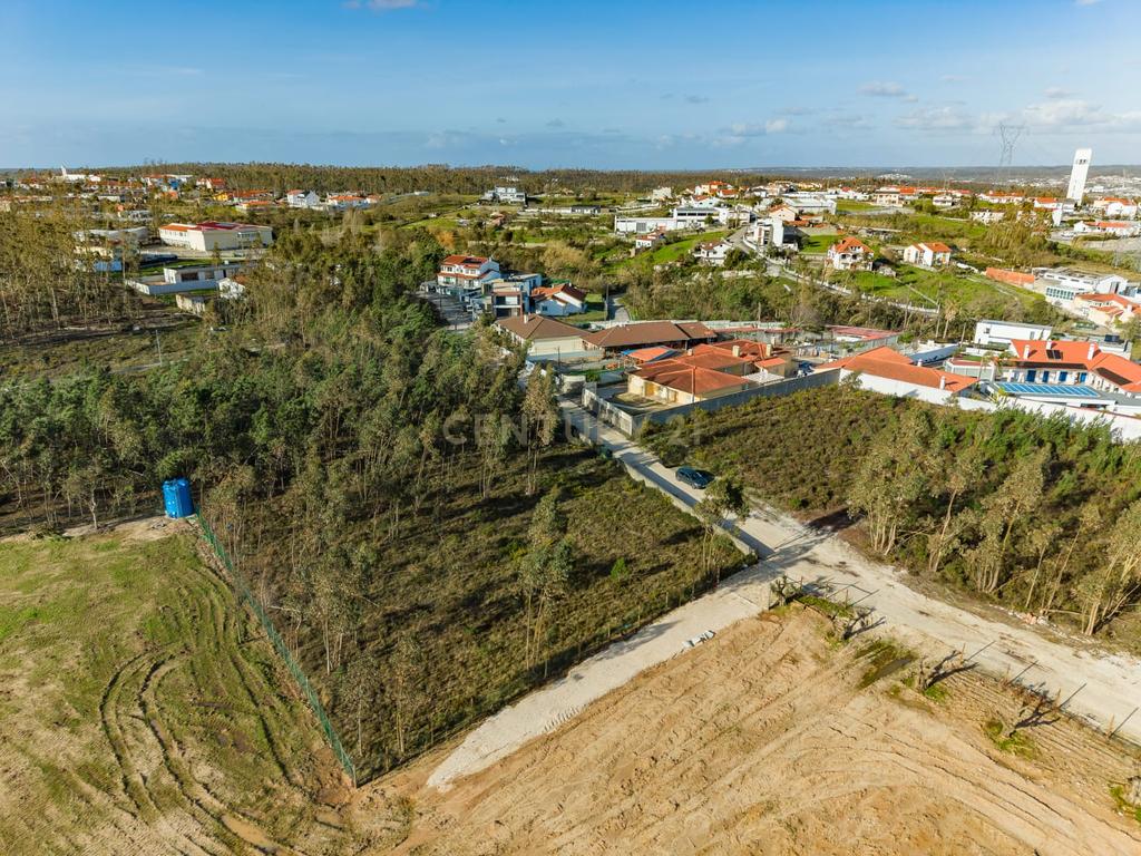 Terreno Rústico com Viabilidade de Construção — Barosa, Leiria - Image 3