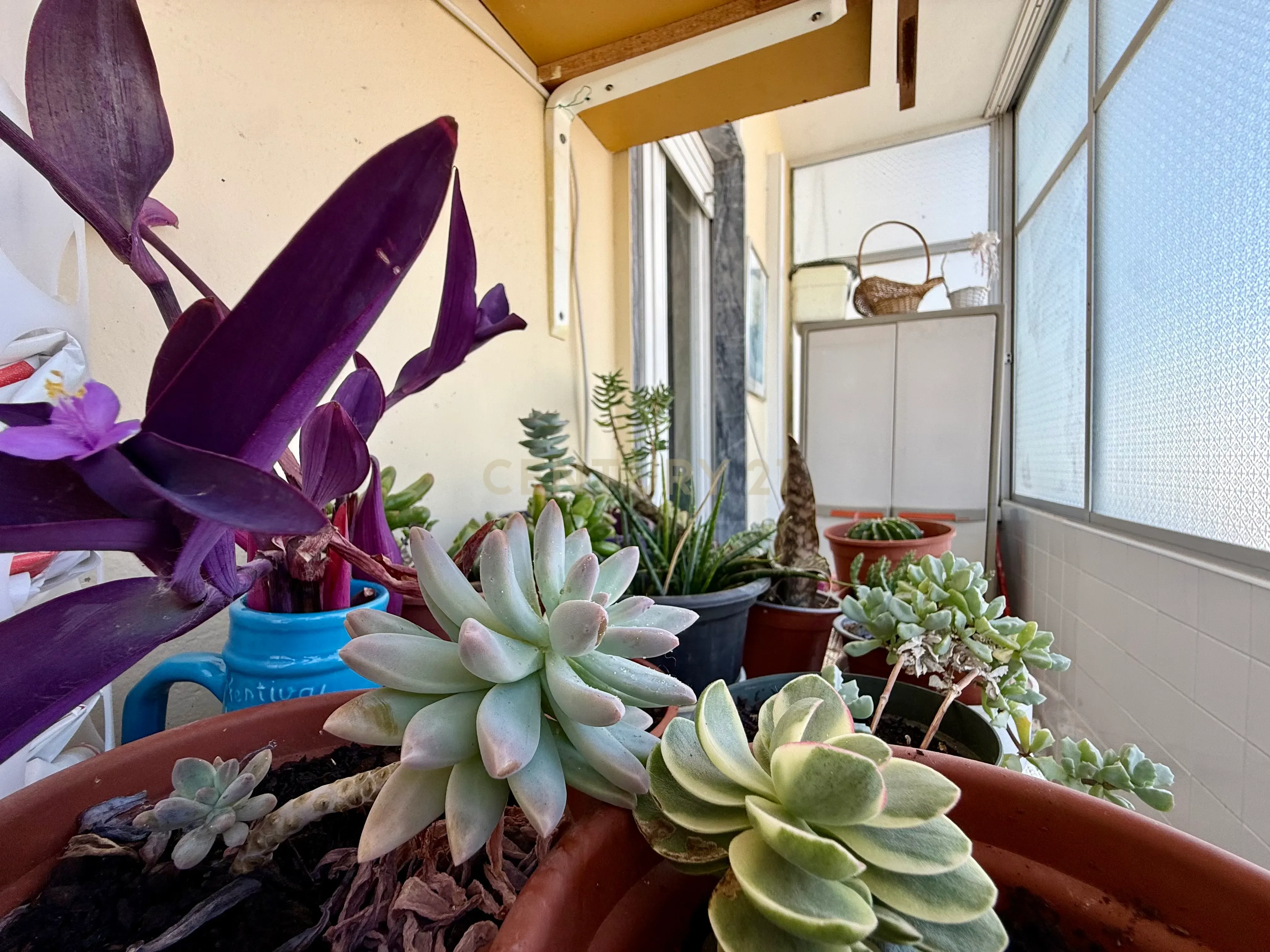 Fotografia 7 de Apartamento T3 com Terraço e Varanda em Olhão