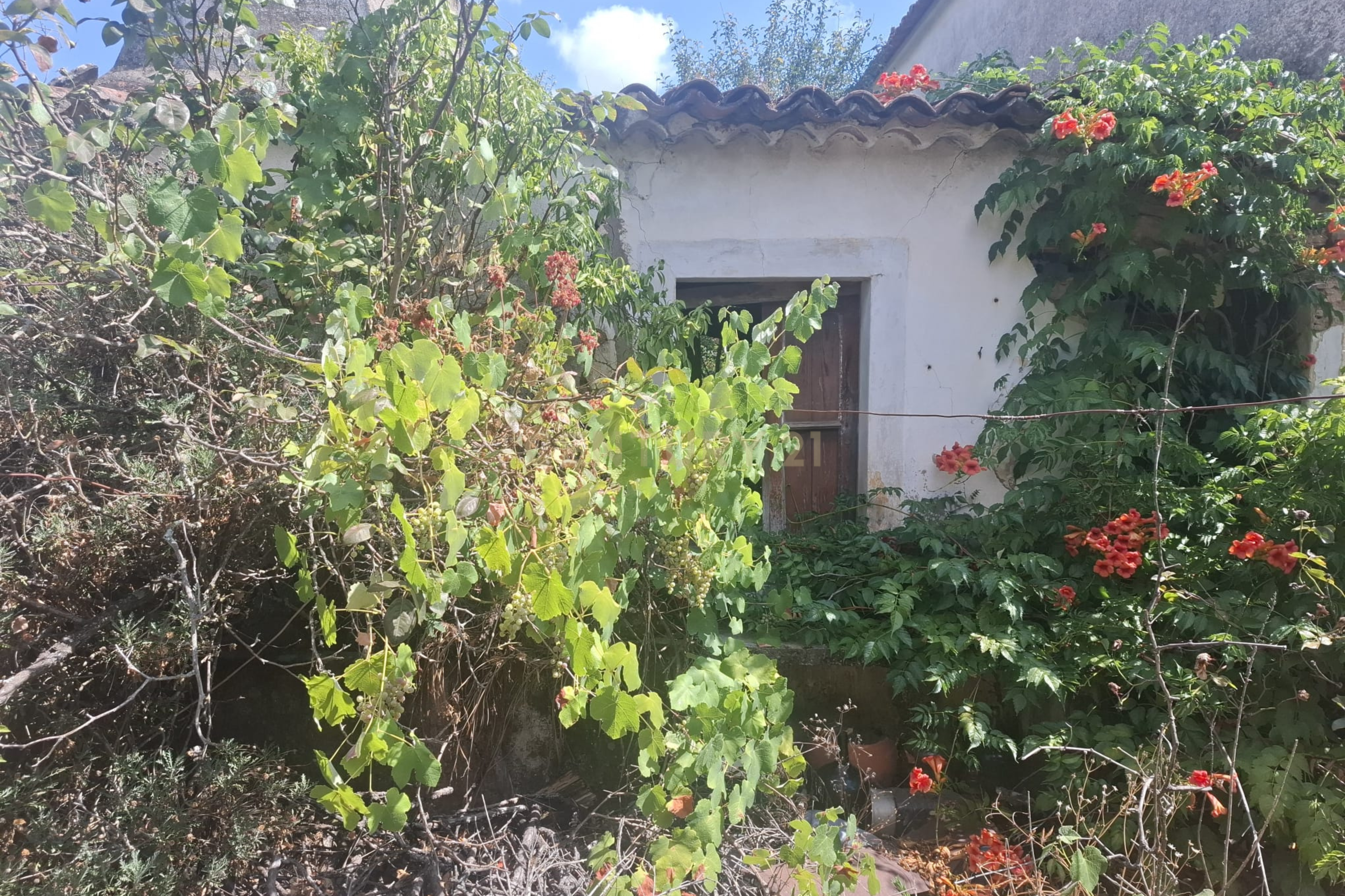 Fotografia 9 de Casa para Recuperação em Alcaravela, Sardoal