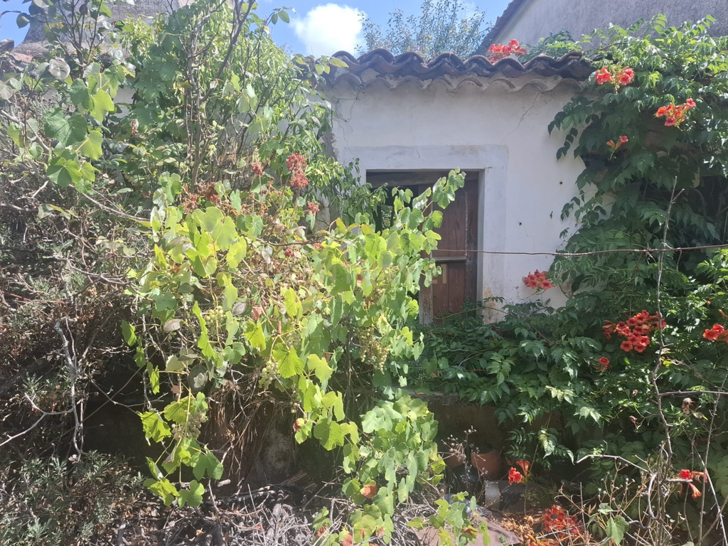 Casa para Recuperação em Alcaravela, Sardoal - Image 9