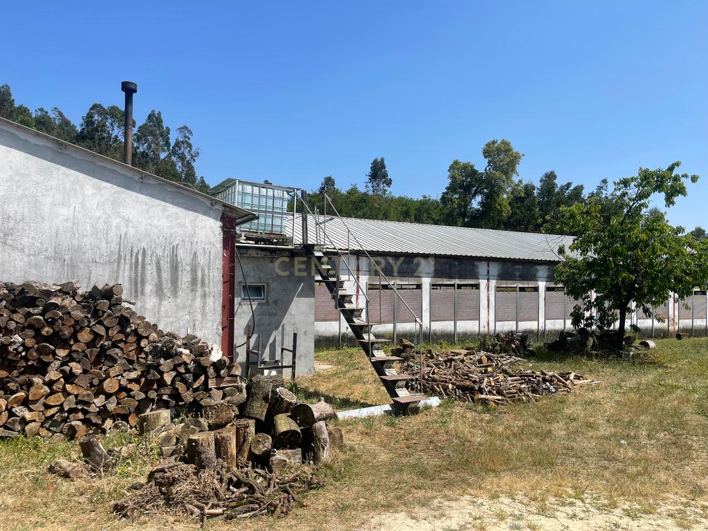 Terreno de 7.500 m² situado próximo ao lago, contendo uma casa a ser restaurada e um aviário automatizado altamente rentável. - Image 27