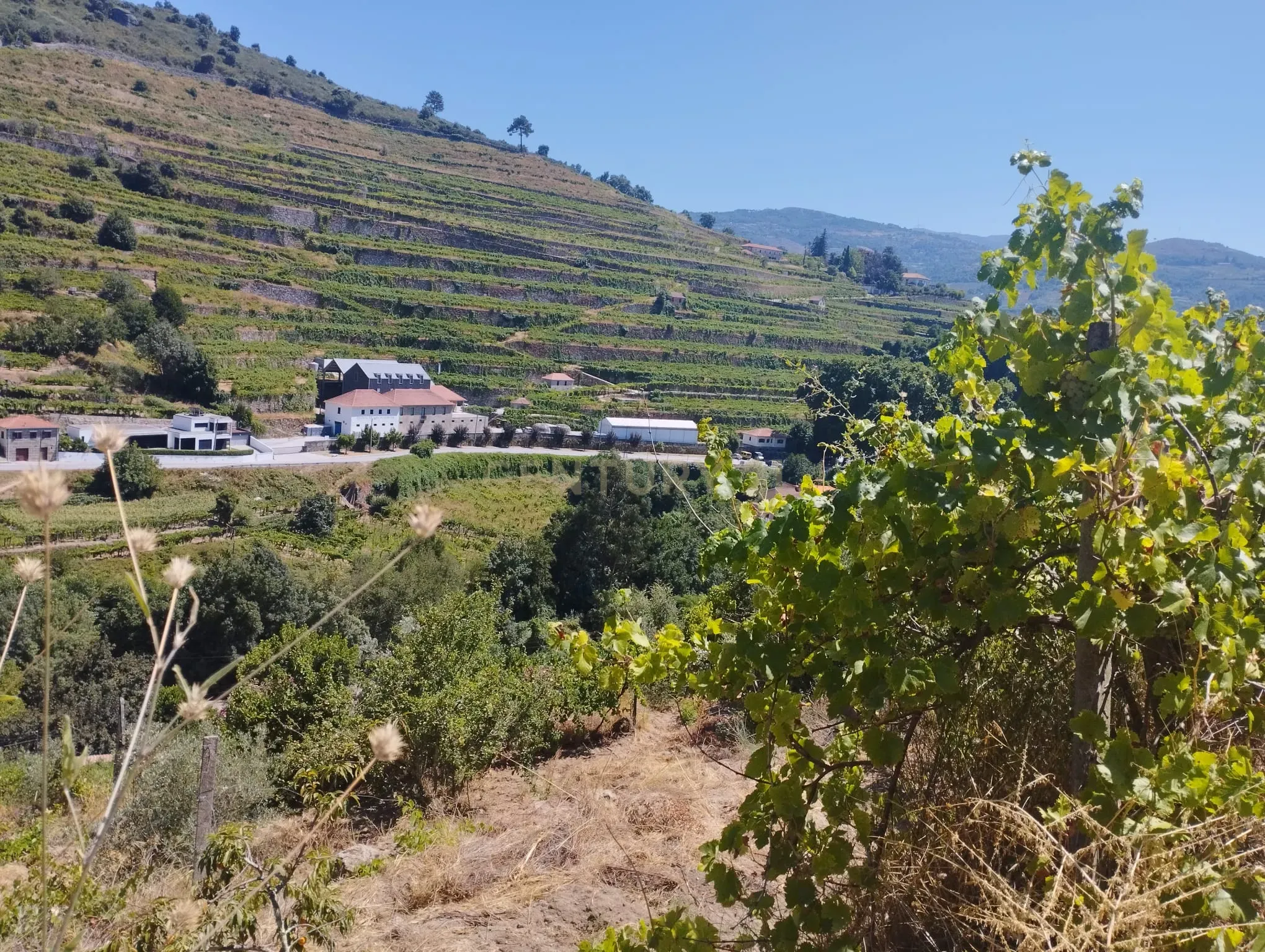 Moradia T3 à venda em Loivos da Ribeira e Tresouras, Baião — foto 27