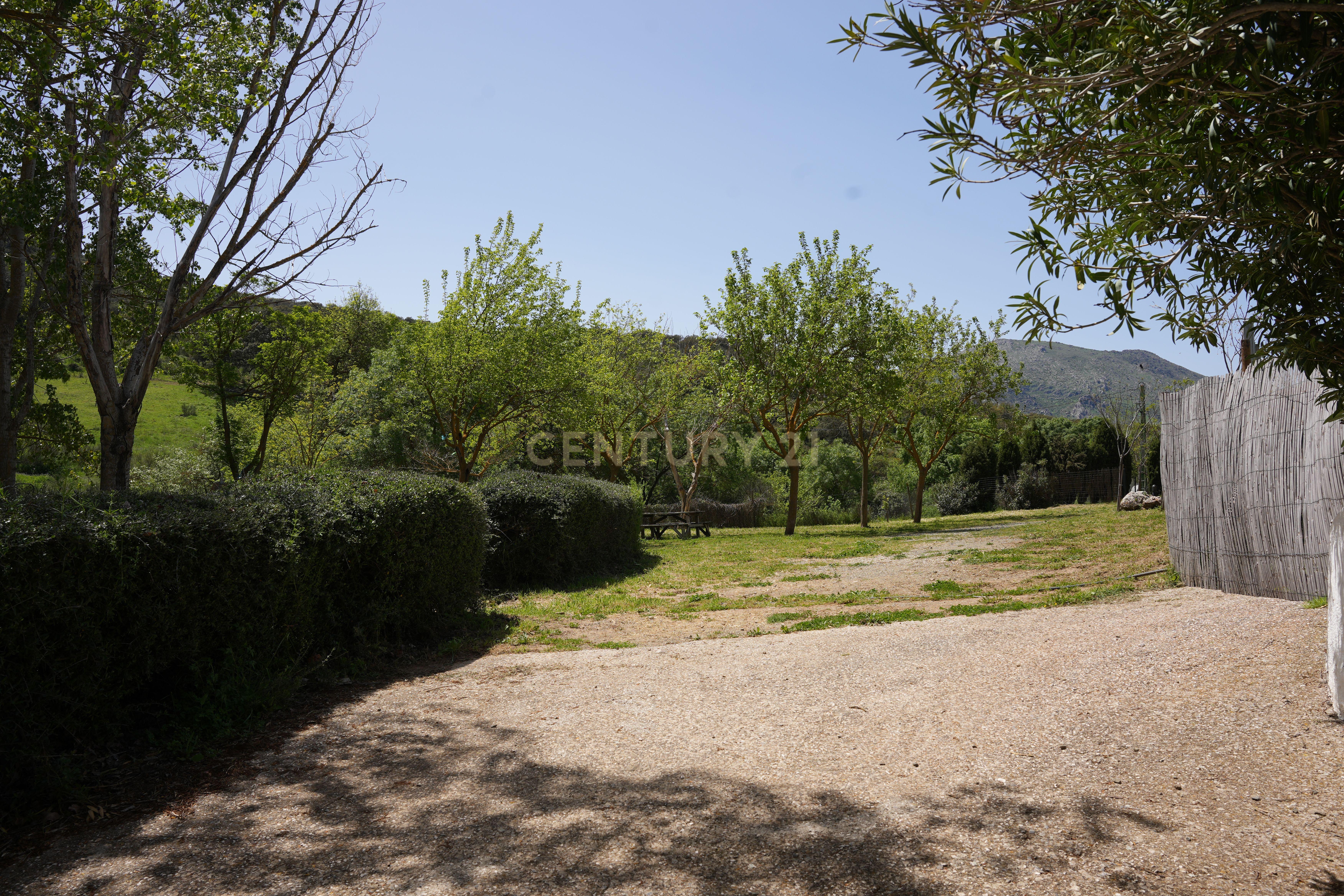VENDA DE PROPRIEDADE RÚSTICA EM ANTEQUERA COM EXPLORAÇÃO DE AGROTURISMO - Image 51