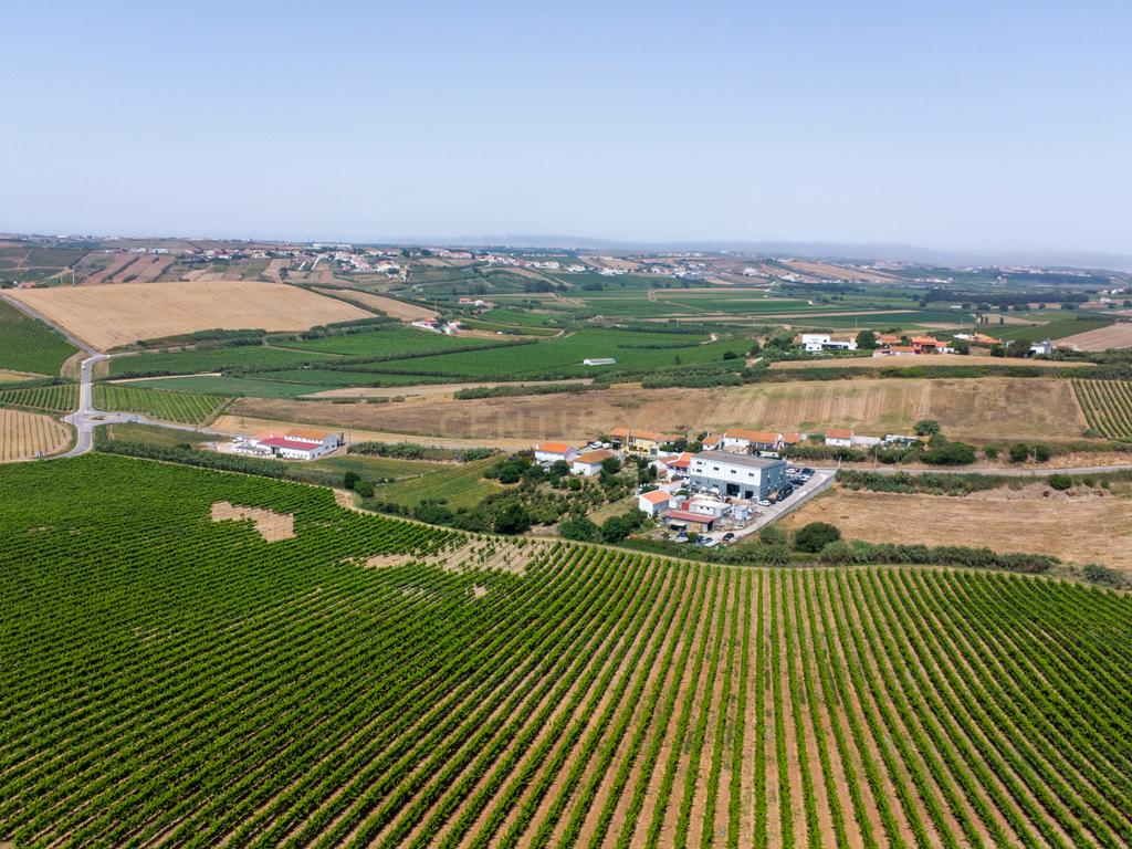 Pequena Quinta em Bonabal – Ventosa, Torres Vedras - Image 1