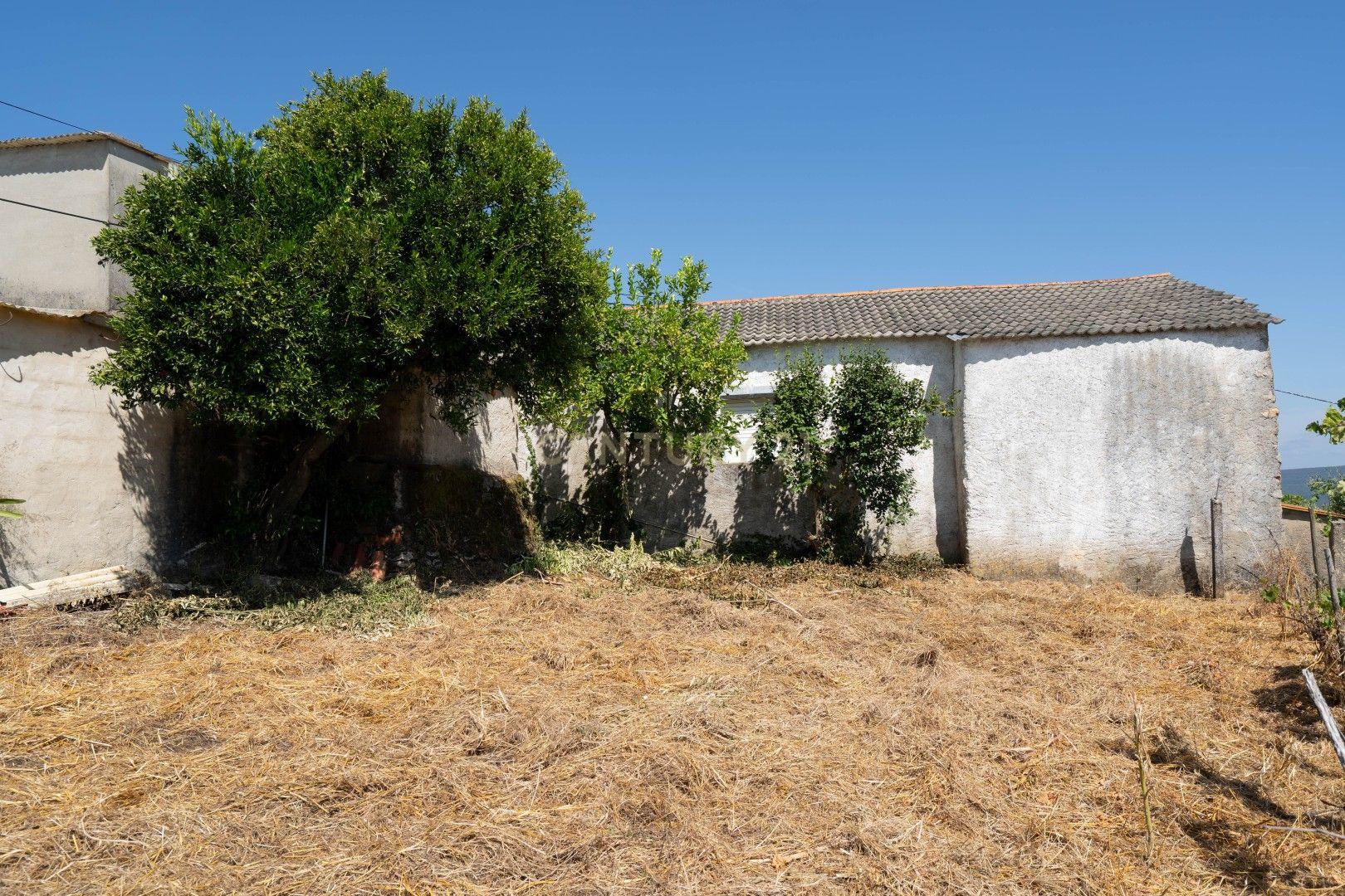 Fotografia 5 de Casa para Recuperação em Vila Nova do Ceira, Góis