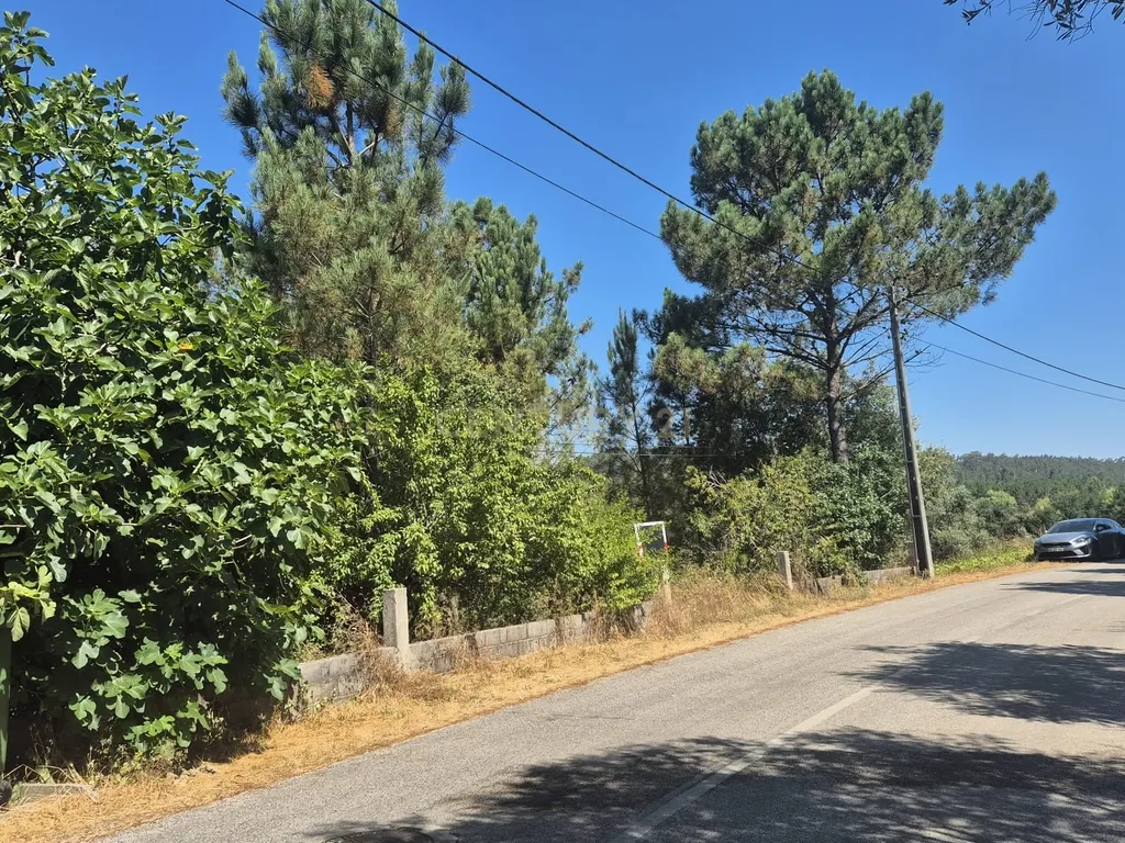 Terreno para Construção em Pombal, Leiria - Oportunidade Única! - Image 14